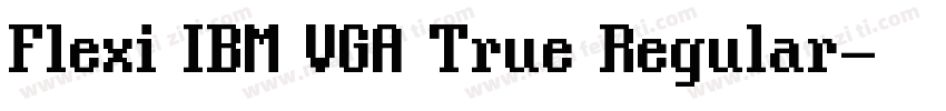 Flexi IBM VGA True Regular字体转换
